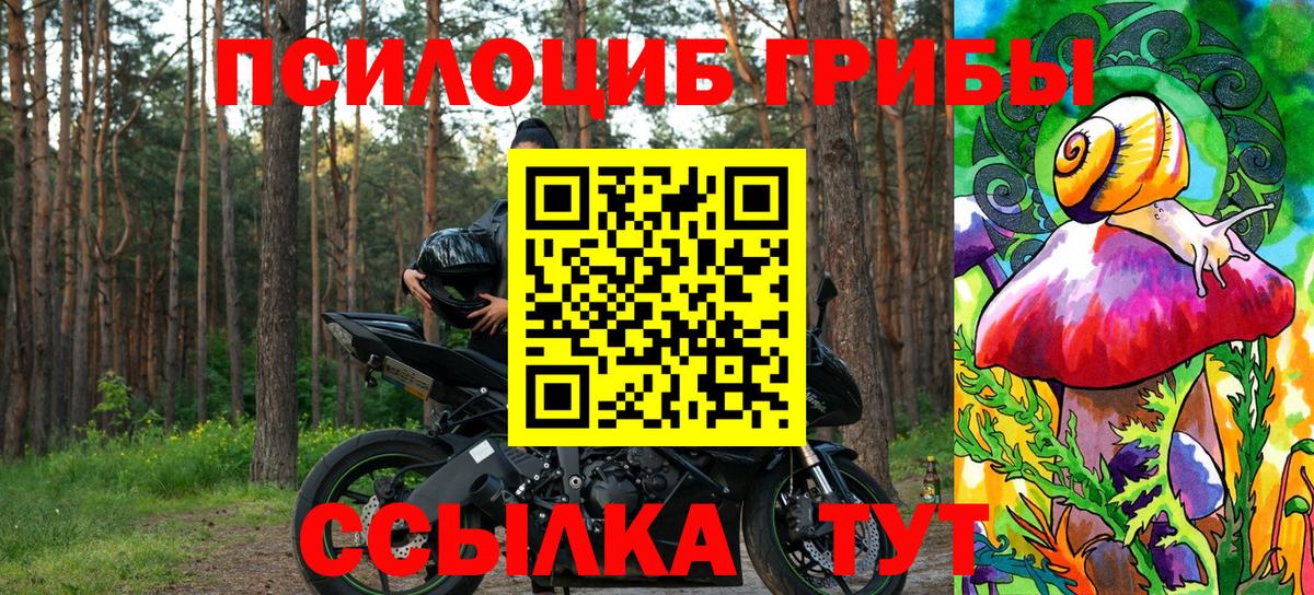 Псилоцибиновые грибы мухоморы  Вход с VPN  закладка  Кузнецк 